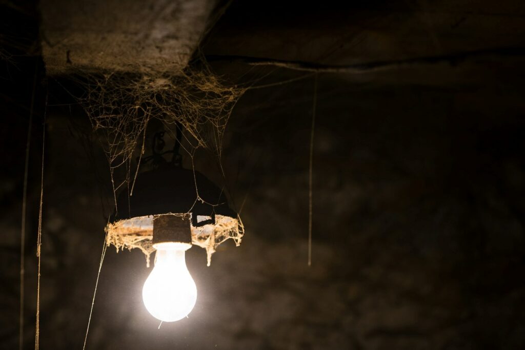 A single light bulb, surrounded by cobwebs, illuminates a barn