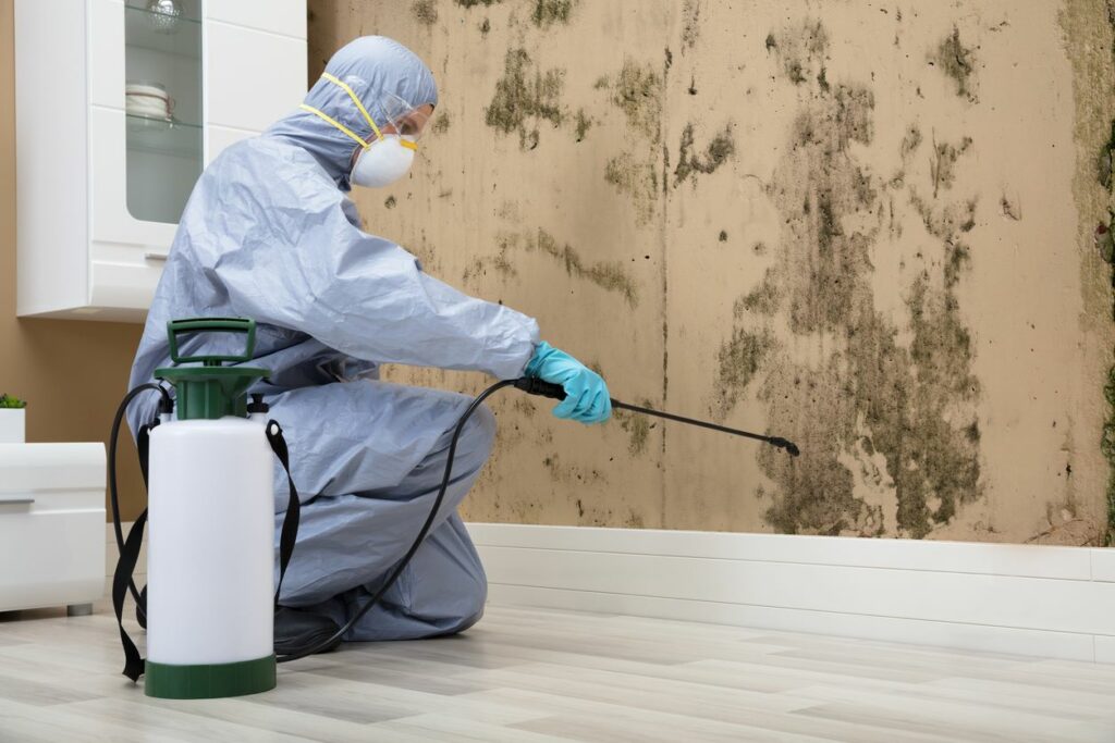 Pest control worker spraying pesticide onto a wall.