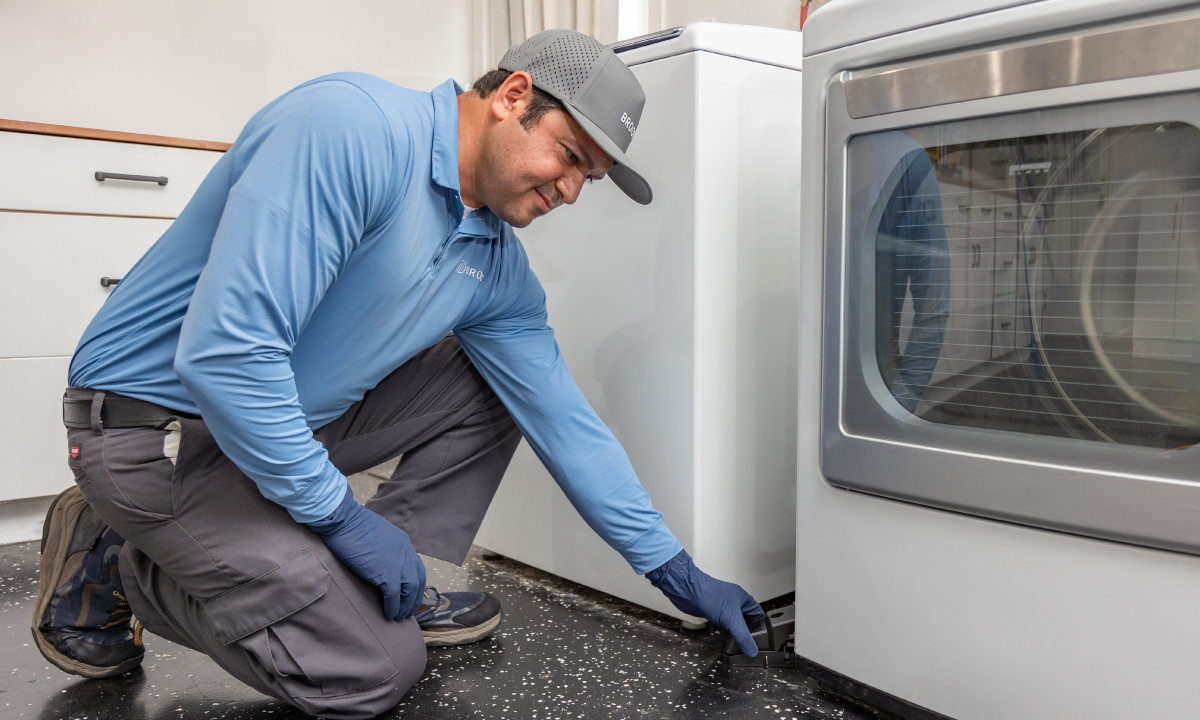 Identifying Common Household Pests Brooks Pest Control