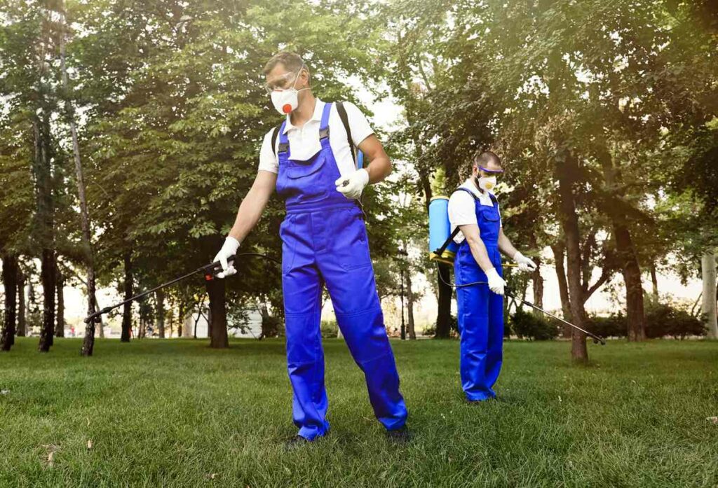 Pest control technicians spraying pesticide on a lawn outdoors.